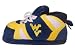 West Virginia Mountaineers