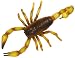 Hidden Kingdom Scorpion