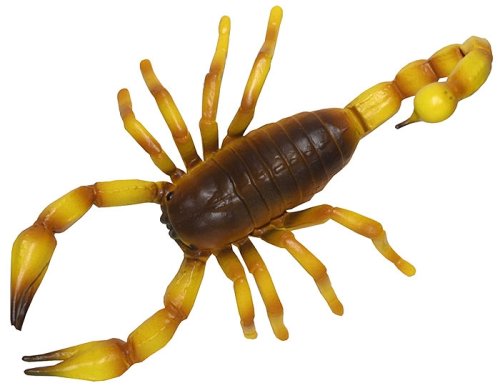 Childrens Toyshop  Toys : Scorpion Plastic Toy