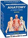 Anatomy Flash Cards