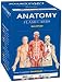 Search : Anatomy Flash Cards