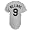 Williams, Ted : Red Sox