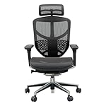 オフィスチェア Ergohuman エルゴヒューマンエンジョイ ハイタイプ EJ-HAM  BK (KM-11)