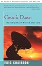 Cosmic Dawn