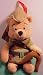 Winnie the Pooh Bean Bag Plush Robin Hood Pooh