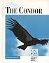The Condor
