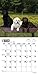 Lab Puppies 2015 18-Month Calendar