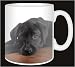 Kitchen & Housewares : BLACK LABRADOR on Tan Coffee Mug
