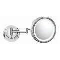 Mirror Image Chrome Double Arm 13
