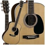 D35 Acoustic Guitar