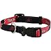 Arizona Diamondbacks Adjustable Dog Collar