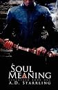 SOUL MEANING (Seventeen) 