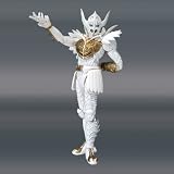 S.H.Figuarts Tamashii Web Limited Kamen RiderIMAGE