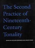 The Second Practice of Nineteenth-Century Tonality