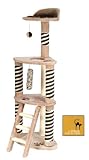 Rome Cat Scratching Post, Acitivity Centre