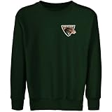 NCAA UAB Blazers Youth Forest Green Logo Applique Crew Neck Fleece Sweatshirt