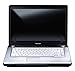 Toshiba Satellite A200-298: Core 2 Duo T5550 1.83 GHz 3072Mb 200Gb DVDSMDL  15.4 WXGA 1280 x 800 802.11a/b/g Vista Home Premium