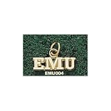 Eastern Michigan Univ Emu 3/16 Charm/Pendant -14K/10K, Stainless Steel or Gold Plated