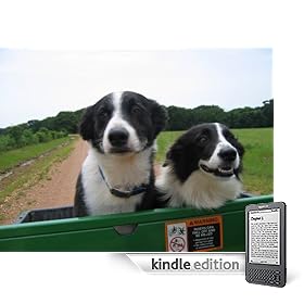 How to Pick the Perfect Dog!