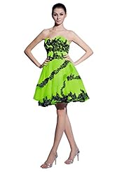 Lace Applique Sweetheart Organza Homecoming Dress/Prom Dress 