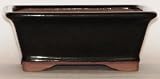 BuyBonsai's Bonsai Pot 8.0 Rectangle Glazed Black