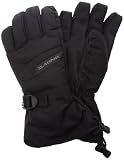 Dakine 1300-350 Blazer Glov - gants ski snowboard homme