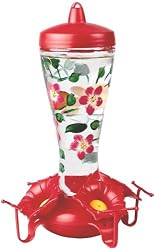 Birdscapes 453F-2 10-Ounce Hand Painted Glass Hummingbird Feeder