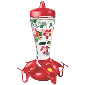 Garden Jewels 453F-2 Ten Ounce Hand Painted Glass Hummingbird Feeder