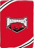 Arkansas Razorbacks 60"x80" Royal Plush Raschel Throw Blanket Warm Durability Machine Washable