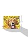 2016 Just Goldens Box Calendar