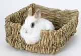 Peter's Woven Grass Pet Bed HyperLink