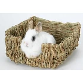 41AqRt9FdTL. SL500 AA280  Peters Woven Grass Pet Bed