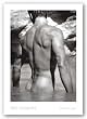 Soaking Wet by Fred Goudon 28"x20" Art Print Poster