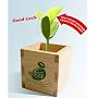 Magic Bean - Good Luck