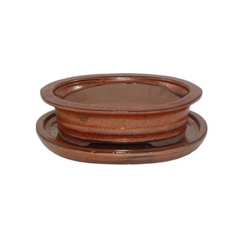 15cm Brown Shallow Oval Bonsai Pot and Tray Set