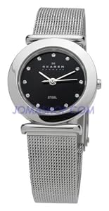 Skagen Classic Mesh Crystal Steel Black Ladies Watch 107SSSBD