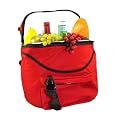 Zuma Collegiate Picnic Backpack - Red