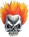 Search : Ghost Rider Adult Half Mask Costume Accessory