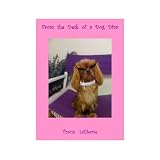 From The Desk Of A Dog Diva