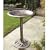 Bronze Bird Bath