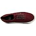 VANS AUTHENTIC (VAN DOREN) CHECKER SKATE SHOES