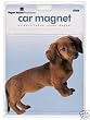Large Red Dachshund "Weiner Dog" Car / Truck Magnet