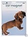 Large Red Dachshund "Weiner Dog" Car / Truck Magnet