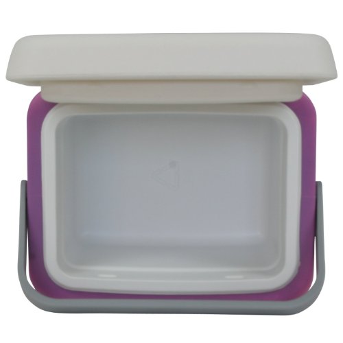10T Fridgo 5 Glacière passive Lavande/Gris Clair 27 x 22 x 19,5 cm