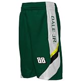 Dale Earnhardt Jr. Youth Green Finish Line Mesh Shorts