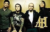 AFI - 34.5 x 22.25 Poster