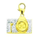 lobster claw on charm