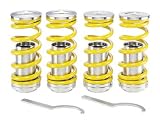 Acura Integra 94-01 Fuzion Coilover Kit