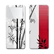 Zen - Apple iPod nano 1G (1st Generation) 1GB/ 2GB/ 4GB Protector Skin Decals - Faceplates