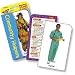 Community Helpers & Careers Pocket Flash Cards